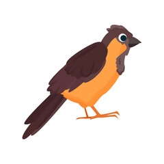 Thrush flat icon. Colored vector element from birds collection. Creative Thrush icon for web design, templates and infographics.