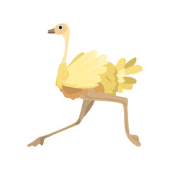 Ostrich flat icon. Colored vector element from birds collection. Creative Ostrich icon for web design, templates and infographics.