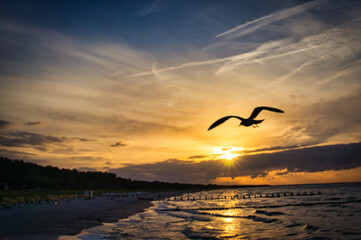 Fototapeta na wymiar Sonnenuntergang in Zingst. Meeresblick auf die Ostsee. Der Urlaub kann kommen.