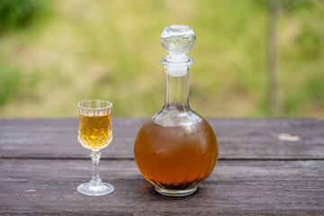 Homemade birch buds tincture in a glass bottle and a wine crystal glass on a wooden table