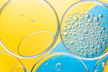 Beautiful macro photo of water droplets in oil with a yellow and blue background. Abstract art