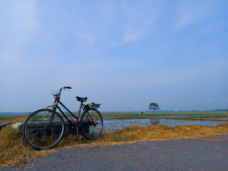Fototapeta na wymiar An old rodster bicycle belonging to a farmer was parked on the edge of a large rice field.