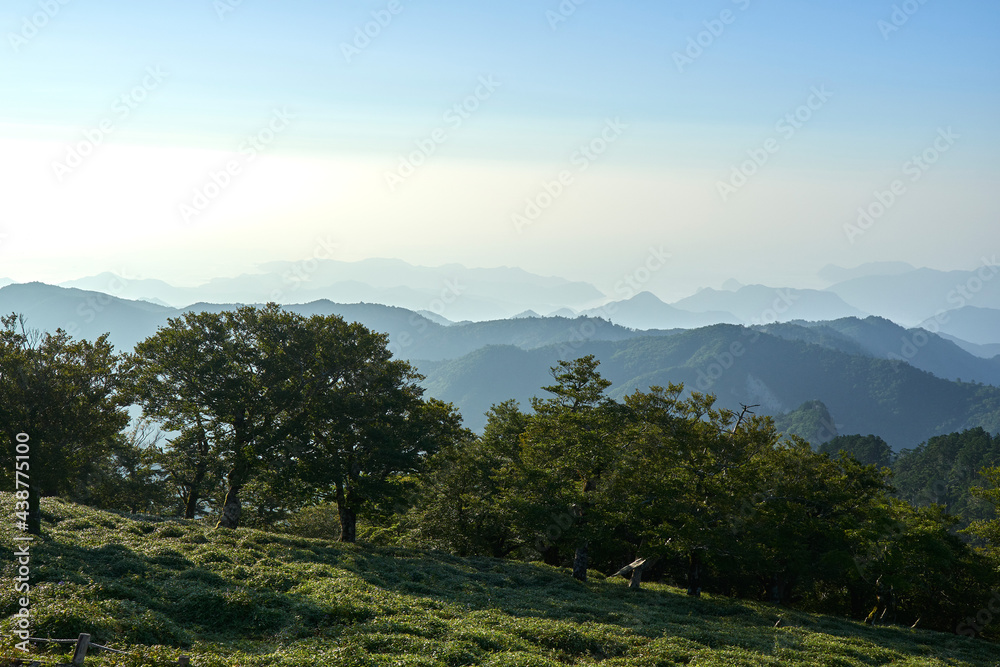 Canvas Prints 大台ケ原