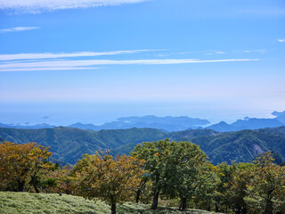 大台ケ原