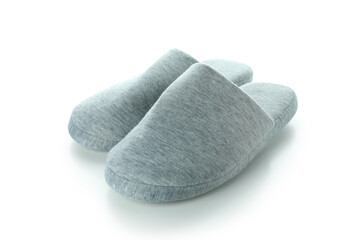 Pair of house slippers isolated on white background