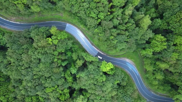 Aerial: White Electric Car Driving On Forest Mountain Road, Twisty Road Corners