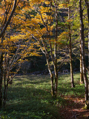 秋の大台ケ原