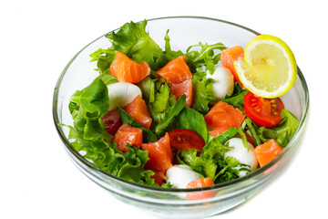 Healthy food concept. Fresh salad with salmon, arugula, cherry tomatoes and lettuce isolated on white. transparent dishes with food. Advertising poster. Close-up view.