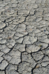 A close-up on cracked earth. Guérande, France, June 2021. 