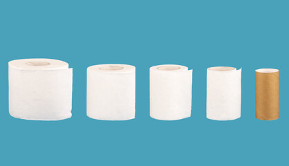 Collage of toilet paper reduction from whole roll to cardboard insert.