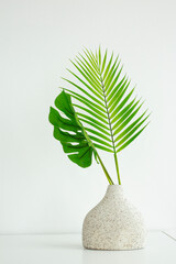 green plant in a vase