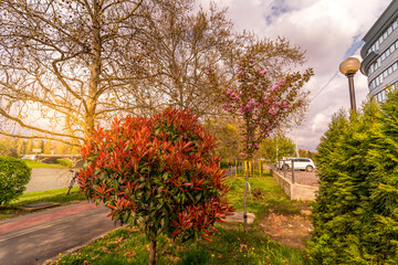 Beautiful landscapes