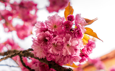 Beautiful landscapes