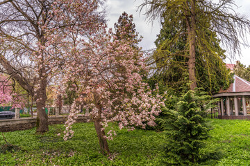 Beautiful landscapes