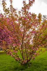 Beautiful landscapes