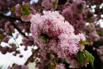 Beautiful landscapes