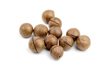 Roasted macadamia nuts in shell isolated on white background. Unshelled macadamia nuts
