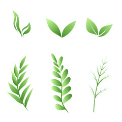 Three green leaves isolated on white background , Vector Illustration EPS 10