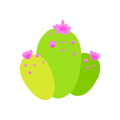Flat vector illustration of a cartoon cactus without thorns with pink flowers. An exotic prickly plant isolated on a white background.