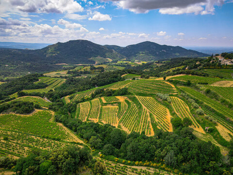 Gigondas Bilder Durchsuchen 550 Archivfotos, und