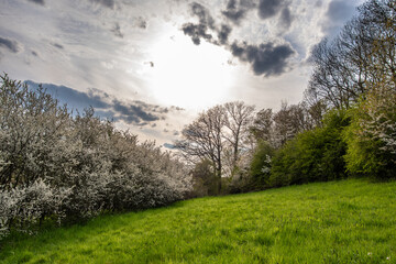 Country landscape in sunshine in Germany