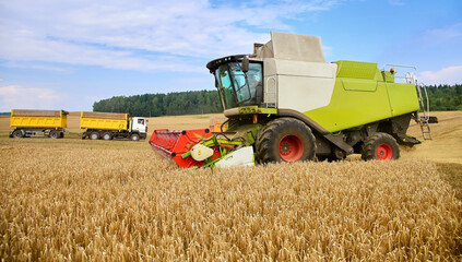 Obraz premium Combine to the mowing removes wheat on the field.