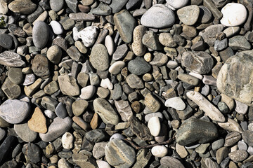 Stone pebble background, outdoor natural river white gray stone pebbles small size, abstract dry garden round stones texture background