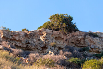 Rocky volcanic cliff with trees and grass