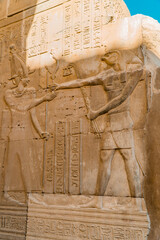 Vertical shot of Egyptian hieroglyphs and engravings on the walls of Kom Ombo Temple, Egypt