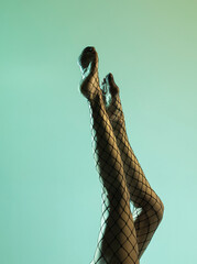 Perfect female legs. Sensual woman legs. Shadow. Light studio. 