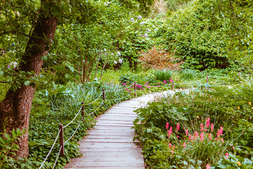 Panele Szklane  eko ścieżka w parku botanicznym wśród drzew i roślin kwiatowych