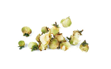 Snow lotus flowers tea on white background