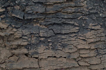 The soil was destroyed by drought, the dry, cracked earth