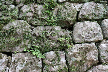 日本の各地にある様々な石