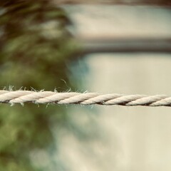 close up of rope