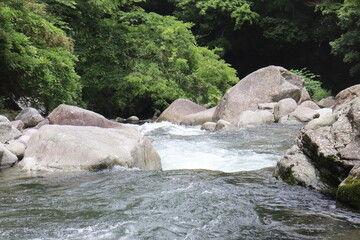 日本の山奥にある川を撮影