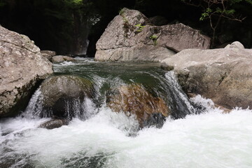 日本の山奥にある川を撮影