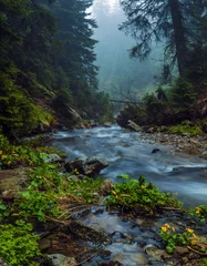 Printed kitchen splashbacks Forest river Fast flow breakers among wild forest at sunrise under the top of Hoverla, stormy clean water feeds the river Prut