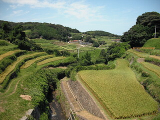 谷の棚田 山口県
