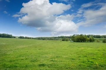 Gordijnen Alnwick Pastures in Northumberland on a beutiful spring day © Lynne Nicholson