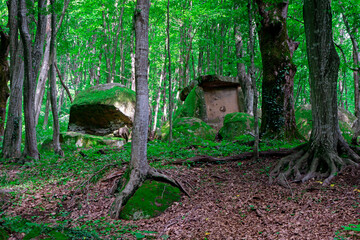 dolmen in Tuapse. A megalytic construction in the woods of Kuban. - obrazy, fototapety, plakaty