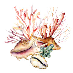 Watercolor underwater composition of coral reef plants and shells. Hand painted tropical card isolated on white background. Aquatic illustration for design, print or background. Beautiful wildlife.