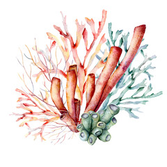 Watercolor underwater composition of coral reef plants. Hand painted tropical card isolated on white background. Aquatic illustration for design, print or background. Beautiful wildlife. © yuliya_derbisheva