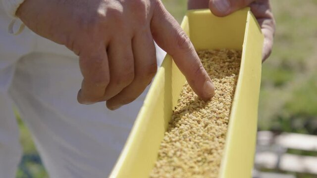 BEEKEEPING - Beekeeper shows a pollen trap in an apiary, slow motion close up