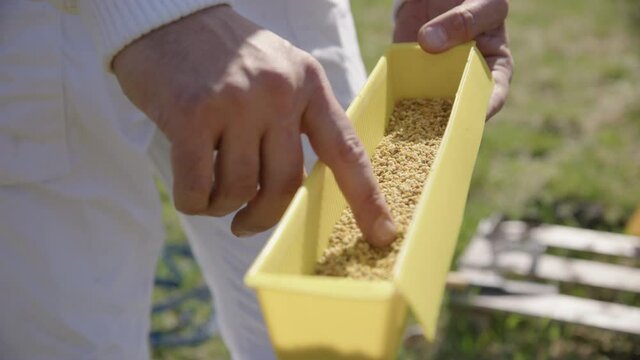 BEEKEEPING - A pollen trap used in beehives in an apiary, slow motion close up