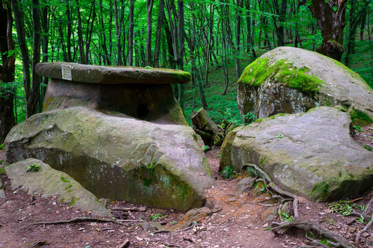 dolmen in Tuapse. A megalytic construction in the woods of Kuban.