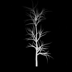 White tree 3d rendering. Tree picture. Black background.	