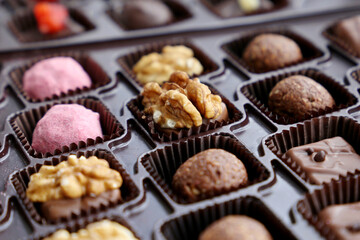 Set of chocolate candy in a gift box. Assorted sweets with walnuts and berries