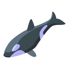 Cute killer whale icon. Isometric of Cute killer whale vector icon for web design isolated on white background