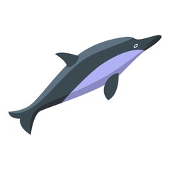 Ocean dolphin icon. Isometric of Ocean dolphin vector icon for web design isolated on white background